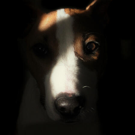 Ruth